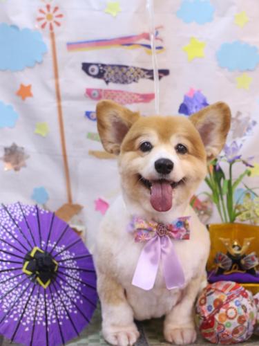 20240519ナナちゃん